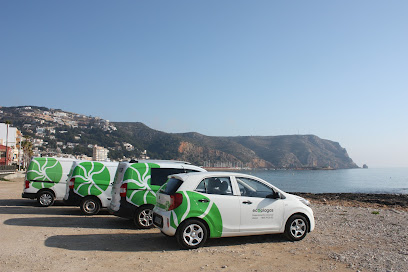 Control de plagas ALICANTE - ECOPLAGAS